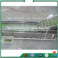 Leafy Fruits Vegetable Washer